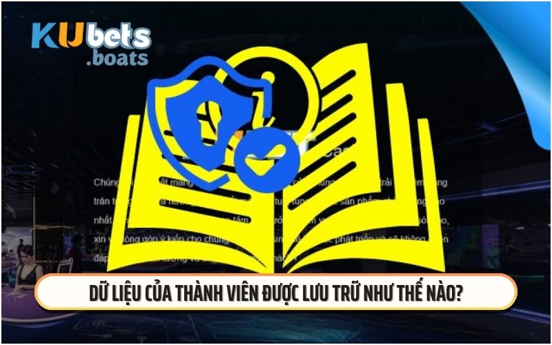 Dữ liệu của thành viên được lưu trữ như thế nào?