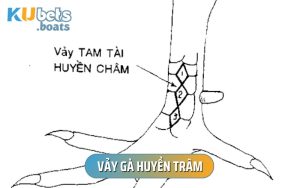 Vảy Gà Huyền Trâm - Dấu Hiệu Nhận Biết Và Xác Định Rõ Nhất